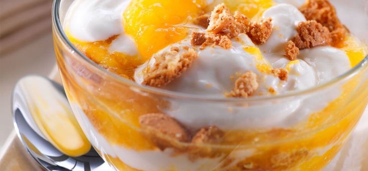 Apricot Fool