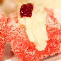 Esme's Lamingtons